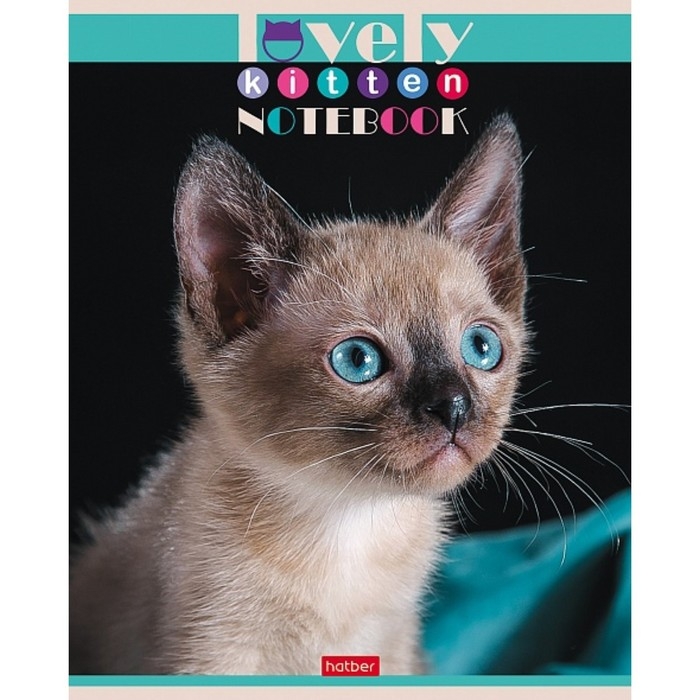 Тетрадь 60 листов в клетку, Тетрадь 60 листов в клетку, "Все любят котиков", обложка мелованный картон, блок офсет 65г/м2, 5 видов, МИКС