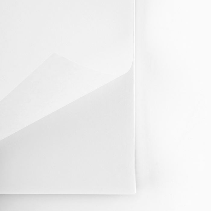 Альбом для рисования А4 48 листов на пружине &laquo;1 сентября: Акрил&raquo;