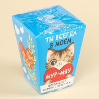 Шоколадные шарики с печеньем &laquo;Ты всегда в моём мур-мяу&raquo;, 24 г (3 шт. х 8 г).