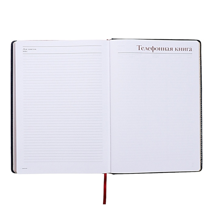 Ежедневник недатированный А4, 136 листов Sidney Nebraska, твёрдая обложка, искусственная кожа, золотой срез, ляссе, синий