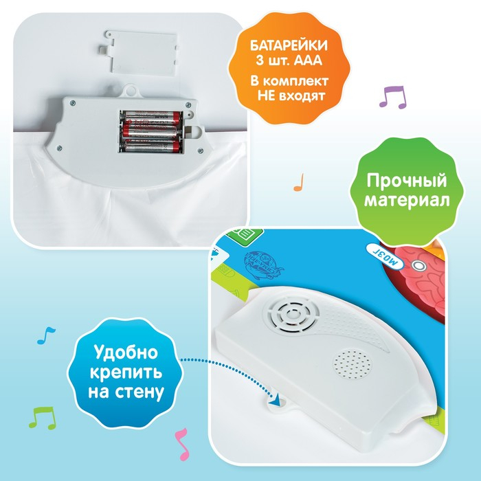 Обучающий плакат «Изучаем анатомию: Моё тело» Обучающий плакат «Изучаем анатомию: Моё тело»