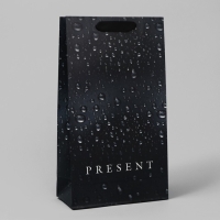 Пакет подарочный под две бутылки, упаковка, Black, 35 х 20 х 9 см Пакет подарочный под две бутылки, упаковка, Black, 35 х 20 х 9 см