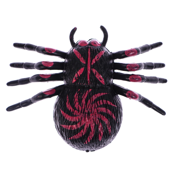 Липучка &laquo;Паук&raquo;, цвета МИКС, на блистере