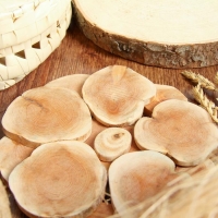 Подставка под горячее «Классика», D=20 см, можжевельник Подставка под горячее «Классика», D=20 см, можжевельник