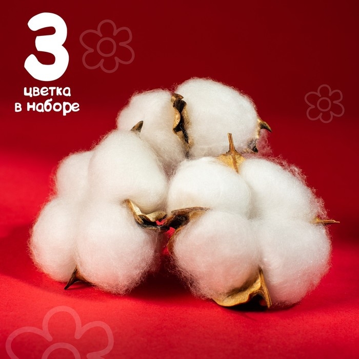 Сухие цветы хлопка, набор 3 шт., размер 1 шт. 6 × 6 см, цвет белый Сухие цветы хлопка, набор 3 шт., размер 1 шт. 6 × 6 см, цвет белый