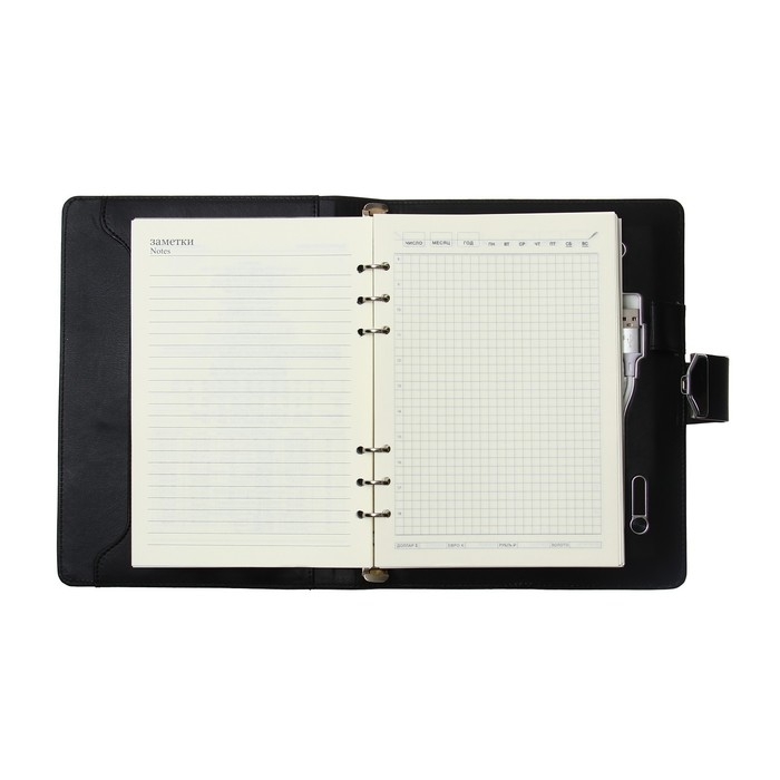 Органайзер на кольцах,ПВХ, А5,140 л,клетка,с ручкой,подар короб,сканер пальца,зарядка,Черный Органайзер на кольцах,ПВХ, А5,140 л,клетка,с ручкой,подар короб,сканер пальца,зарядка,Черный