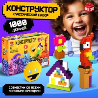 Конструктор &laquo;Классический набор&raquo;, 1000 деталей