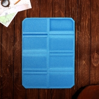 Коврик туристический складной &laquo;Для рыбалки&raquo;, 38 х 27 см, цвет синий