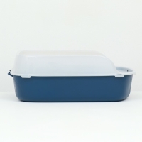 Туалет с бортом, 50х35х18 см, синий
