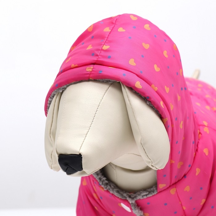 Комбинезон "нежный путь" на меховом подкладе, размер M (ДС 30, ОШ 30, ОГ 40 см), розовый   961465