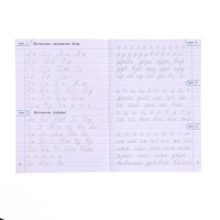 Тренажер по чистописанию &laquo;Учимся писать грамотно&raquo;, 2 класс, Жиренко О. Е. 2024