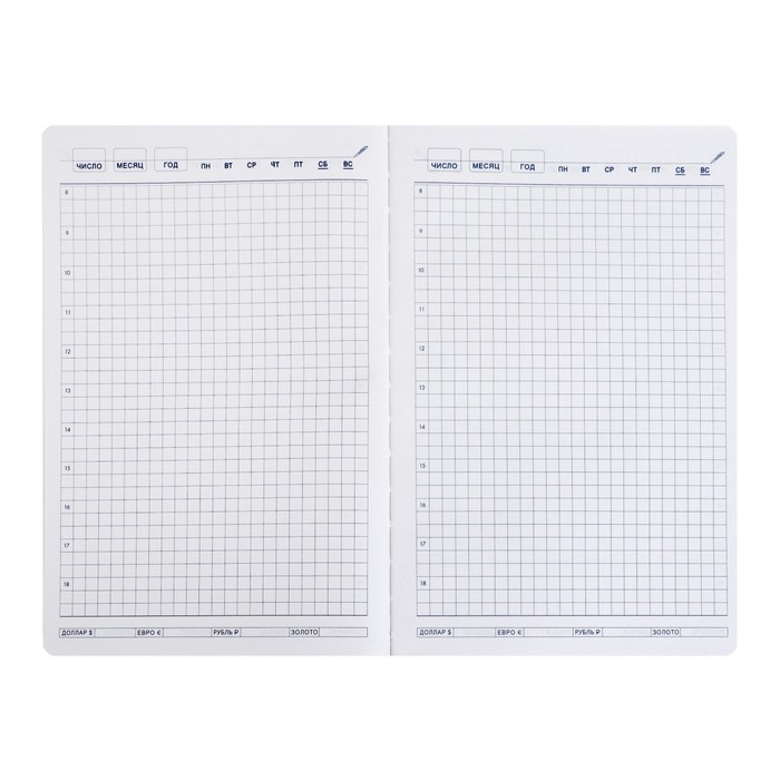 Ежедневник недатированный BOSS А5, 140 листов в клетку, с ручкой, обложка ПВХ, МИКС