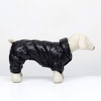 Комбинезон "Блеск", размер L (ДС 34 см, ОГ 47, ОШ 32 см, до 10 кг), чёрный Комбинезон "Блеск", размер L (ДС 34 см, ОГ 47, ОШ 32 см, до 10 кг), чёрный