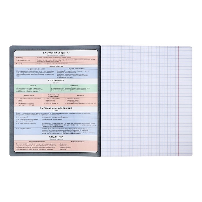 Тетрадь предметная ОБЩЕСТВОЗНАНИЕ, 48 листов в клетку, ErichKrause Тетрадь предметная ОБЩЕСТВОЗНАНИЕ, 48 листов в клетку, ErichKrause "Чубрик", пластиковая обложка, шелкография, блок офсет 100% белизна, инфо-блок