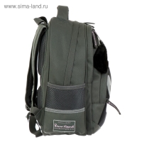 Рюкзак школьный Bruno Visconti "Панда моя!", 40 х 30 х 19 см, эргономичная спинка, пенал в подарок