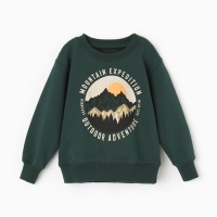 Свитшот для мальчика, НАЧЁС, цвет пихта, рост 104-110 см Свитшот для мальчика, НАЧЁС, цвет пихта, рост 104-110 см