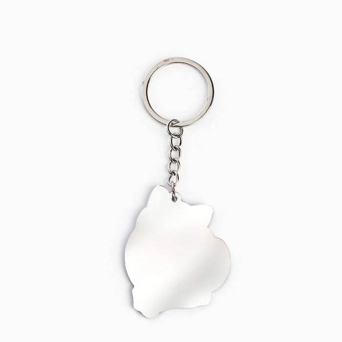 Брелок для ключей зеркало «Ты выглядишь замурчательно», 9 х 4.1 см Брелок для ключей зеркало «Ты выглядишь замурчательно», 9 х 4.1 см