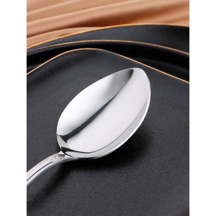 Ложка столовая «Беркли», длина 21 см, толщина 3 мм, цвет серебряный Ложка столовая «Беркли», длина 21 см, толщина 3 мм, цвет серебряный