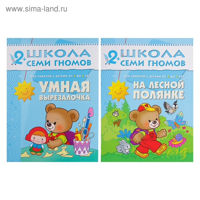 Полный годовой курс от 2 до 3 лет. 12 книг с картонной вкладкой. Денисова Д.