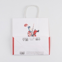 Пакет подарочный, упаковка, «Рыцарю», 22 х 22 х 11 см Пакет подарочный, упаковка, «Рыцарю», 22 х 22 х 11 см