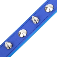 Ошейник "Лион" с шипами 45 х 2 см, ОШ 34-40 см, искусственная кожа, синий Ошейник "Лион" с шипами 45 х 2 см, ОШ 34-40 см, искусственная кожа, синий