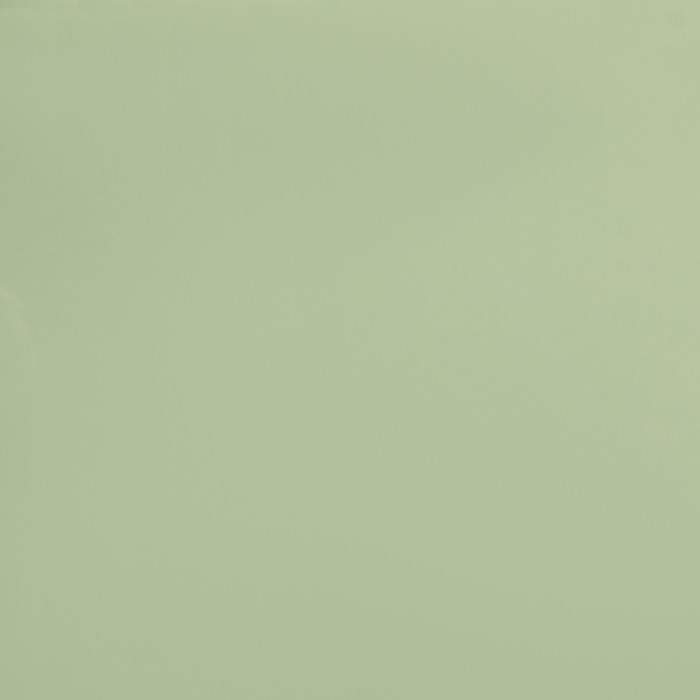 Пленка для цветов, матовая, хаки, 0,58 х 10 м