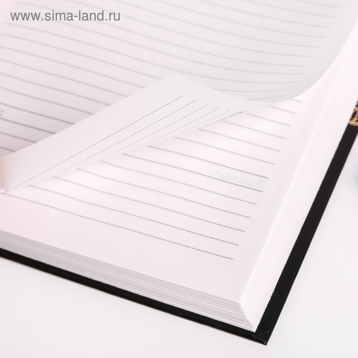 Ежедневник учителя &laquo;Учителю: Золотой учитель&raquo;, формат А5, твёрдая обложка картон 7БЦ, 160 листов