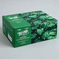 Гирлянда «Бахрома» 3 х 0.6 м, IP44, прозрачная нить, 114 LED, свечение мульти, 8 режимов, солнечная батарея Гирлянда «Бахрома» 3 х 0.6 м, IP44, прозрачная нить, 114 LED, свечение мульти, 8 режимов, солнечная батарея