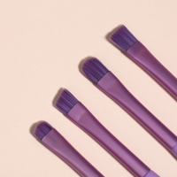 Набор кистей для макияжа, 6 предметов, PVC-пакет, цвет фиолетовый Набор кистей для макияжа, 6 предметов, PVC-пакет, цвет фиолетовый