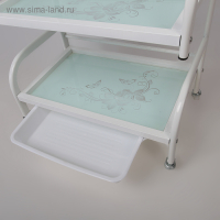 Столик косметолога 52×32×80, на колеса×, 3 полки, цвет белый (РИСУНОК НА СТЕКЛЕ МИКС) Столик косметолога 52×32×80, на колеса×, 3 полки, цвет белый (РИСУНОК НА СТЕКЛЕ МИКС)