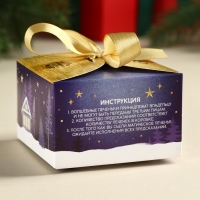 Печенье с предсказаниями &laquo;Сказочного Нового года&raquo;, 18 г ( 3 шт. х 6 г).