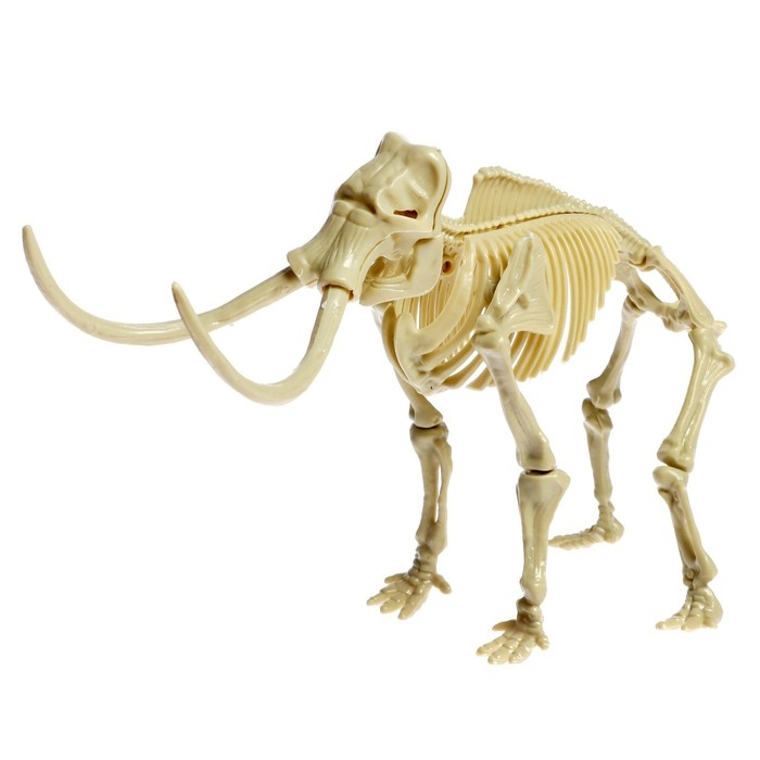 Набор для опытов «Ледниковая эпоха», в пакете Набор для опытов «Ледниковая эпоха», в пакете