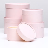 Набор шляпных коробок 5 в 1,"Пастельный" 20 х 12,18 х 11,16 х 10,14 х 9,13 х 8,5 см