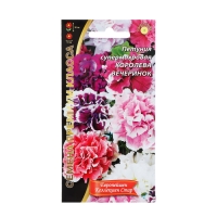 Семена Цветов Петуния супермахровая "Королева Вечеринок" ,6 шт , Семена Цветов Петуния супермахровая "Королева Вечеринок" ,6 шт ,