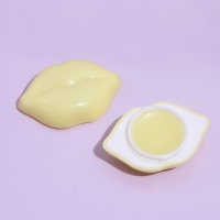 Бальзам для губ &laquo;Поцелуй&raquo;, микс цветов и запахов