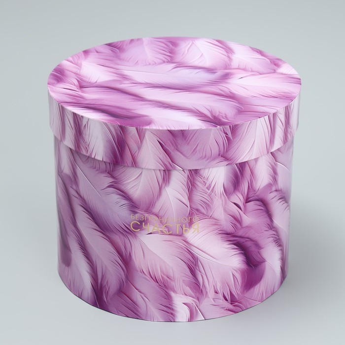 Набор шляпных коробок 5 в 1, упаковка подарочная, «Перья», 13 х 14 ‒ 19.5 х 22 см Набор шляпных коробок 5 в 1, упаковка подарочная, «Перья», 13 х 14 ‒ 19.5 х 22 см