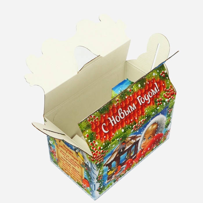 Новый год. Подарочная коробка новогодняя Кормушка Новый год. Подарочная коробка новогодняя Кормушка "Покормите птиц зимой" в зеленом окошко с двух сторон, 20 x 12 x 19 см.