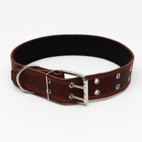 Ошейник кожаный на синтепоне, 82 х 4.5 см,  ОШ 50-70 см, коричневый