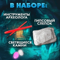 Набор для раскопок &laquo;Сокровища гномов&raquo;