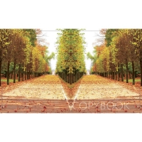 Тетрадь 96 листов в клетку Calligrata "Прекрасная пора", обложка мелованный картон, блок офсет, МИКС Тетрадь 96 листов в клетку Calligrata "Прекрасная пора", обложка мелованный картон, блок офсет, МИКС