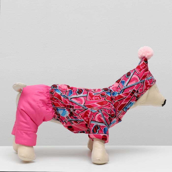 Комбинезон зимний для животных "Тандем", XL (ДС 32-34, ОШ 32, ОГ 40-44 см), микс