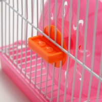 Клетка для грызунов укомплектованная RT-2c, 23 х 16,5 х 20 см, розовая (фасовка 30 шт) Клетка для грызунов укомплектованная RT-2c, 23 х 16,5 х 20 см, розовая (фасовка 30 шт)