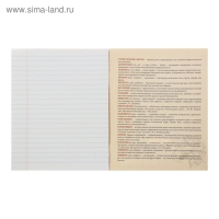 Тетрадь предметная Calligrata "Неон", 48 листов в линию Литература, со справочным материалом, обложка мелованный картон, УФ-лак, блок офсет Тетрадь предметная Calligrata "Неон", 48 листов в линию Литература, со справочным материалом, обложка мелованный картон, УФ-лак, блок офсет