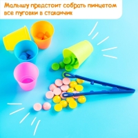 Набор для сортировки «Стаканчики», с пинцетом, по методике Монтессори, 3+ Набор для сортировки «Стаканчики», с пинцетом, по методике Монтессори, 3+