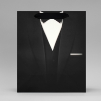 Пакет подарочный ламинированный вертикальный, упаковка, &laquo;Стиль&raquo;, ML 23 х 27 х 11,5 см