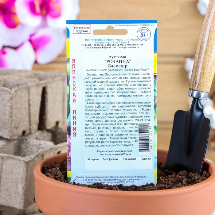 Семена цветов Эустома Семена цветов Эустома "Розанна" Блек пир F1, драже, 3 шт