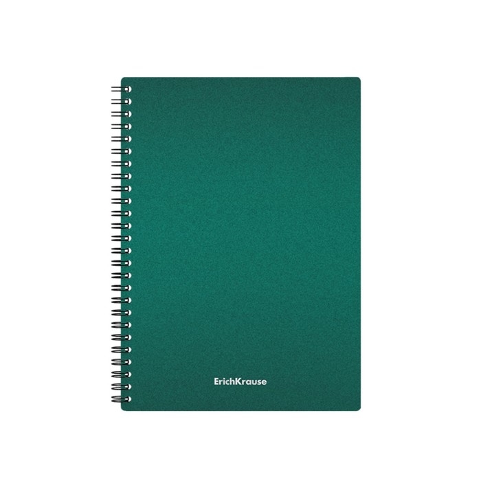 Тетрадь на спирали, 80 листов в клетку, ErichKrause Ice Metallic, пластиковая обложка, на резинке, блок офсет 100% белизна, МИКС Тетрадь на спирали, 80 листов в клетку, ErichKrause Ice Metallic, пластиковая обложка, на резинке, блок офсет 100% белизна, МИКС