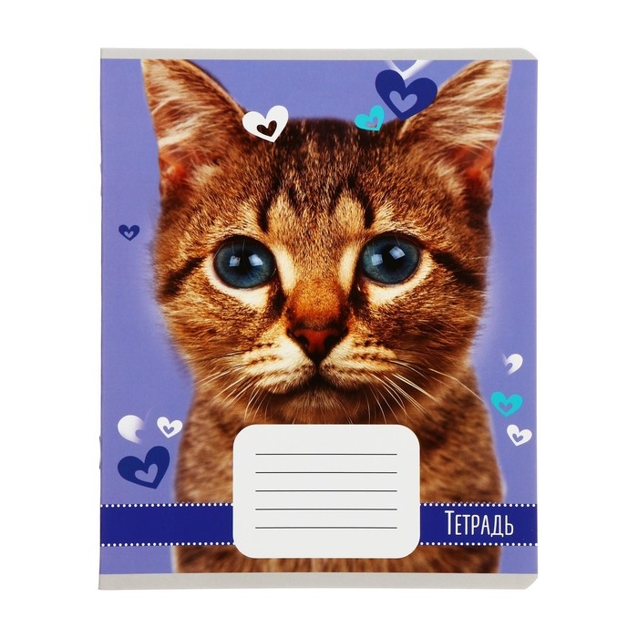 Комплект тетрадей из 10 штук, 18 листов в клетку Calligrata Комплект тетрадей из 10 штук, 18 листов в клетку Calligrata "Домашние животные", обложка мелованный картон, блок офсет, 5 видов по 2 штуки