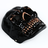 Карнавальная маска &laquo;Череп&raquo;, цвет чёрный