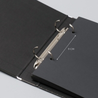 Фотоальбом 25 листов (наклейки+кольца) "Страна уроков" 19х27х3 см